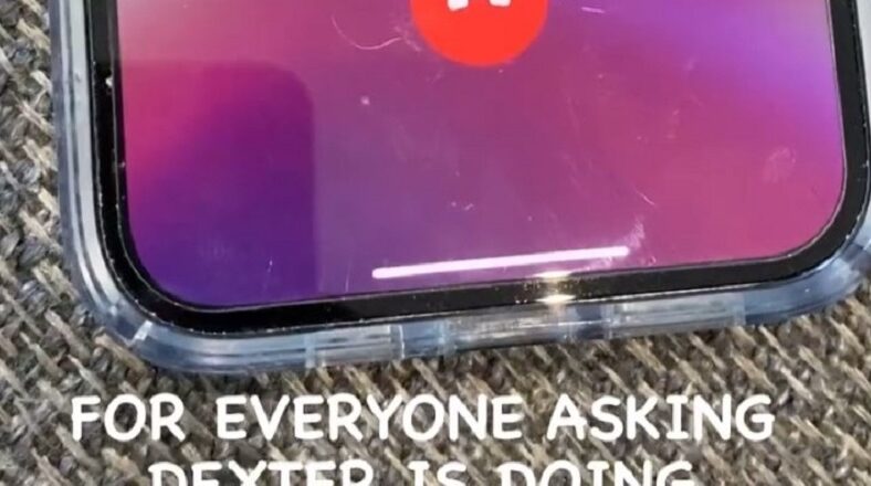Rich The Kid Famous Dex rehab doing better