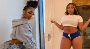 Rubi Rose Megan Thee Stallion flirt on Twitter girlfriend something new