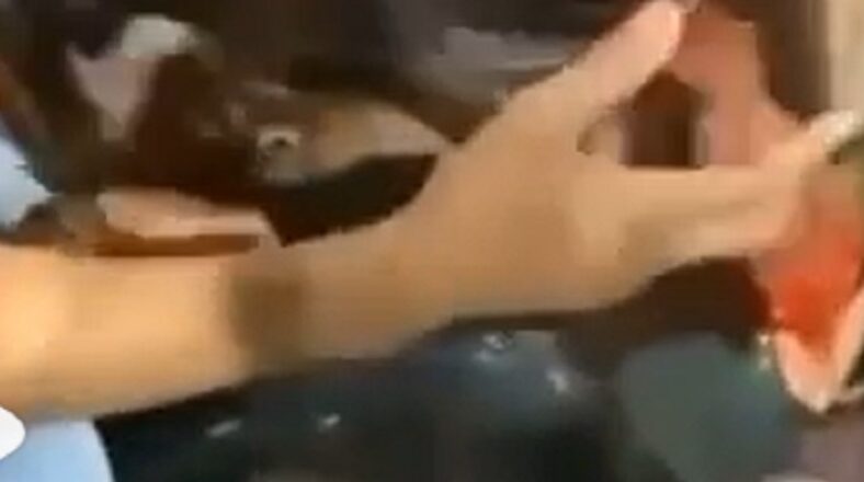 Baby Blue Whoaaa shot critical condition hospital Miami
