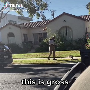 Mia Khalifa mask dog poop