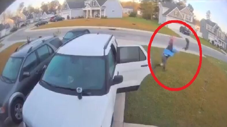 NC man throws bobcat after attack