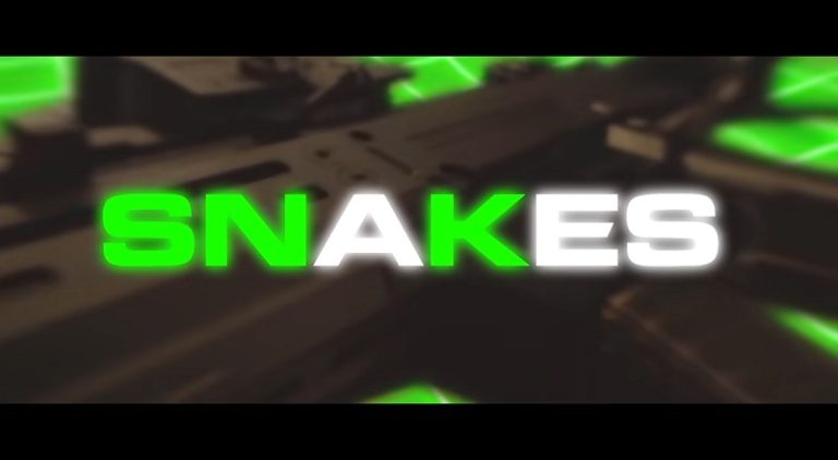 Waka Flocka Flame Snakes music video