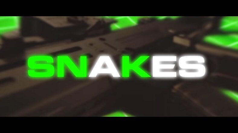 Waka Flocka Flame Snakes music video