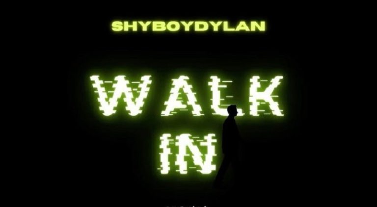 shyboydylan Walk In