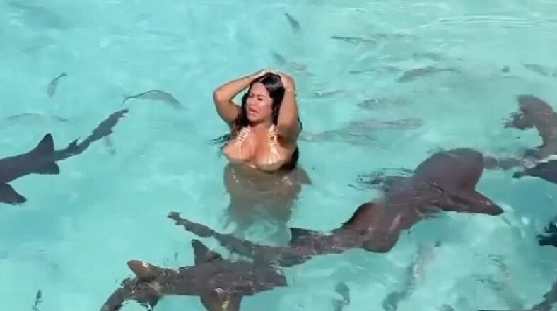 Alexis Sky goes swimming with sharks conquering her lifelong fears