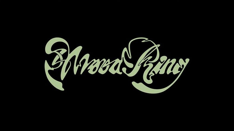 Lorde Mood Ring music video