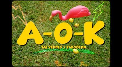 Tai Verdes A-O-K music video