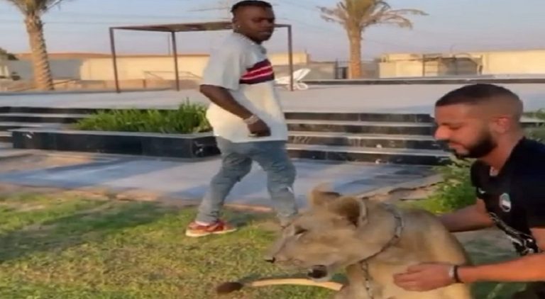 DaBaby runs from a lion after the lion touches him