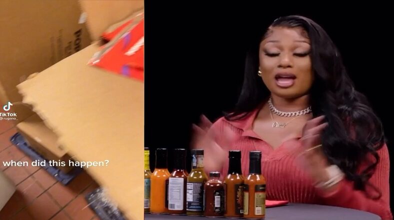 Megan Thee Stallion collaborating with Popeyes with Hottie Sauce chicken sandwich meal