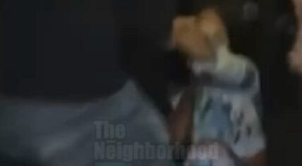 Sky, from Black Ink Crew, gets into fight at Drake's birthday party