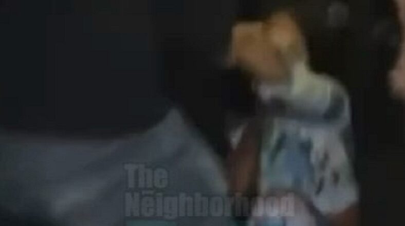 Sky, from Black Ink Crew, gets into fight at Drake's birthday party