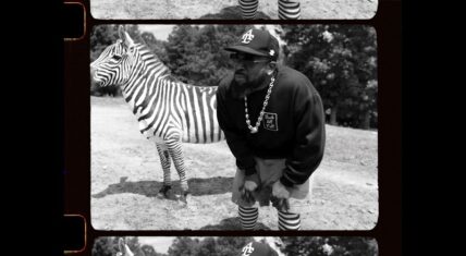 Big Boi Animalz music video