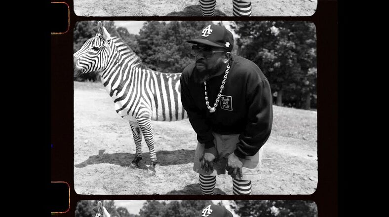 Big Boi Animalz music video