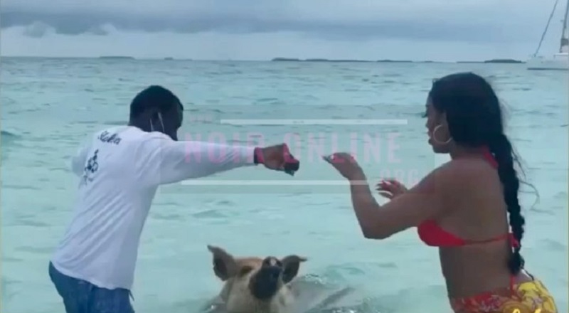 Porsha Williams runs away from a pig in the ocean
