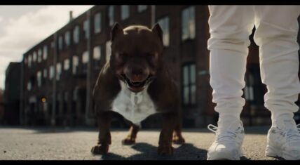DMX is a dog in Chris Webby's We Up music video