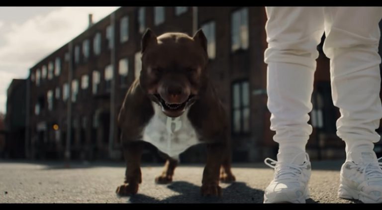 DMX is a dog in Chris Webby's We Up music video