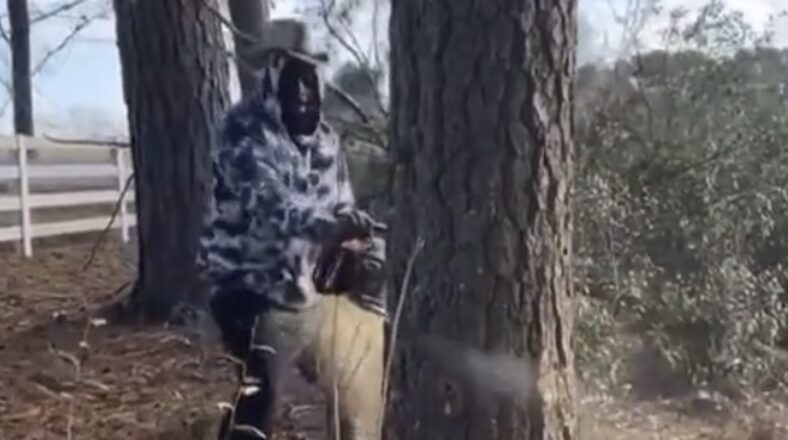 Rick Ross cuts down his own trees in his yard