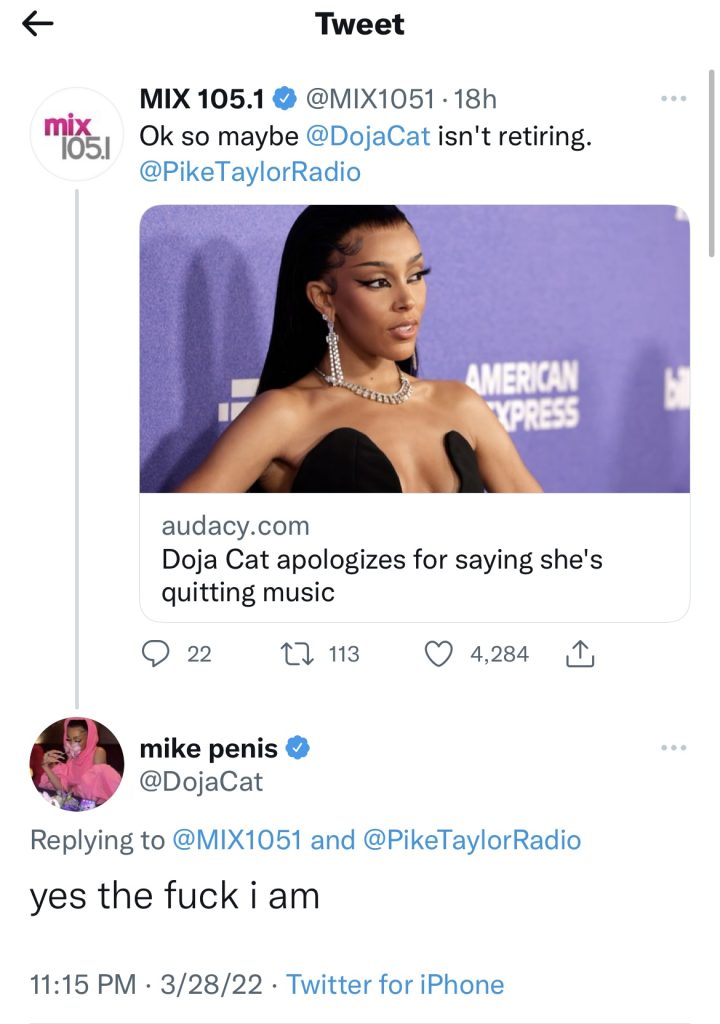 Doja Cat doubles down on wanting to retire from music