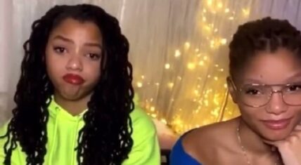 Halle Bailey goes viral for seemingly laughing at crying fan