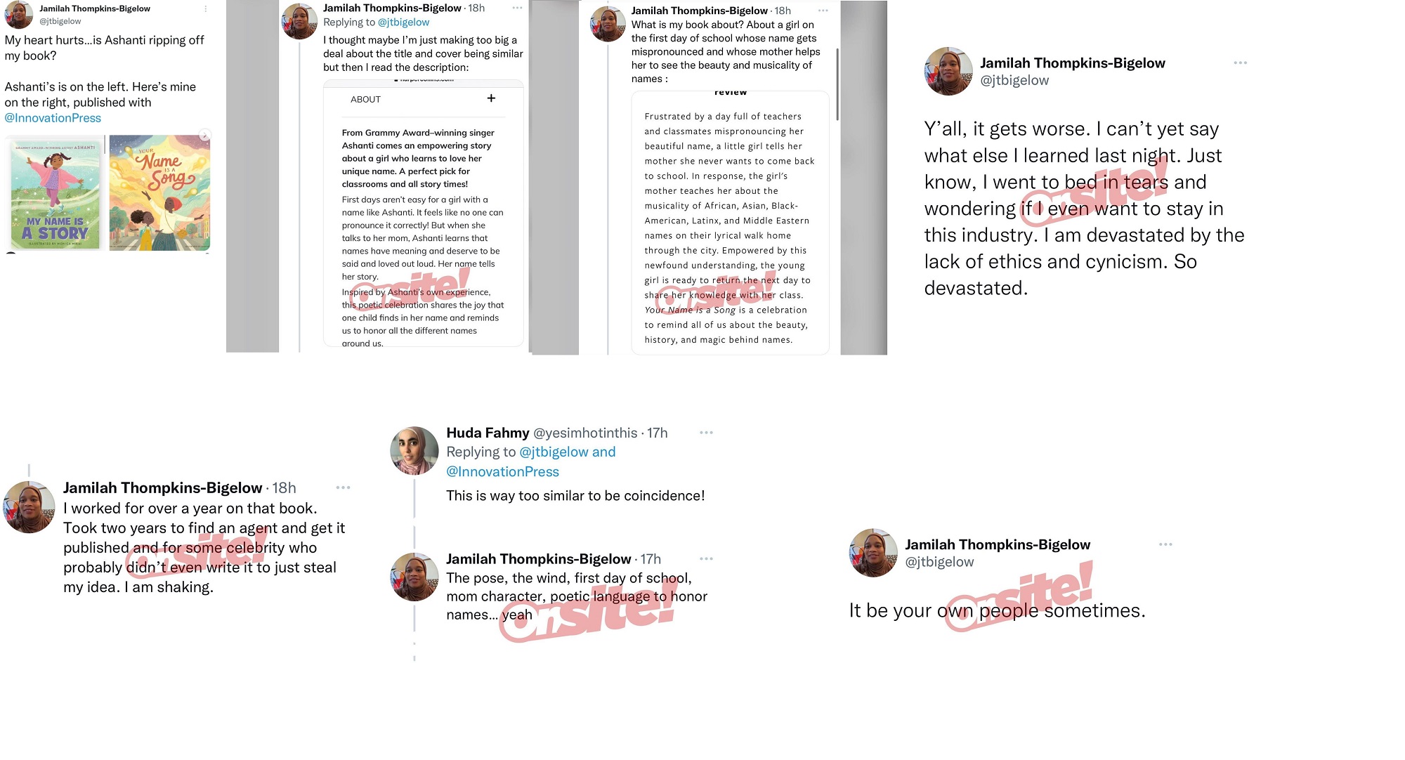 Jamilah Thompkins-Bigelow accuses Ashanti of plagiarizing her book