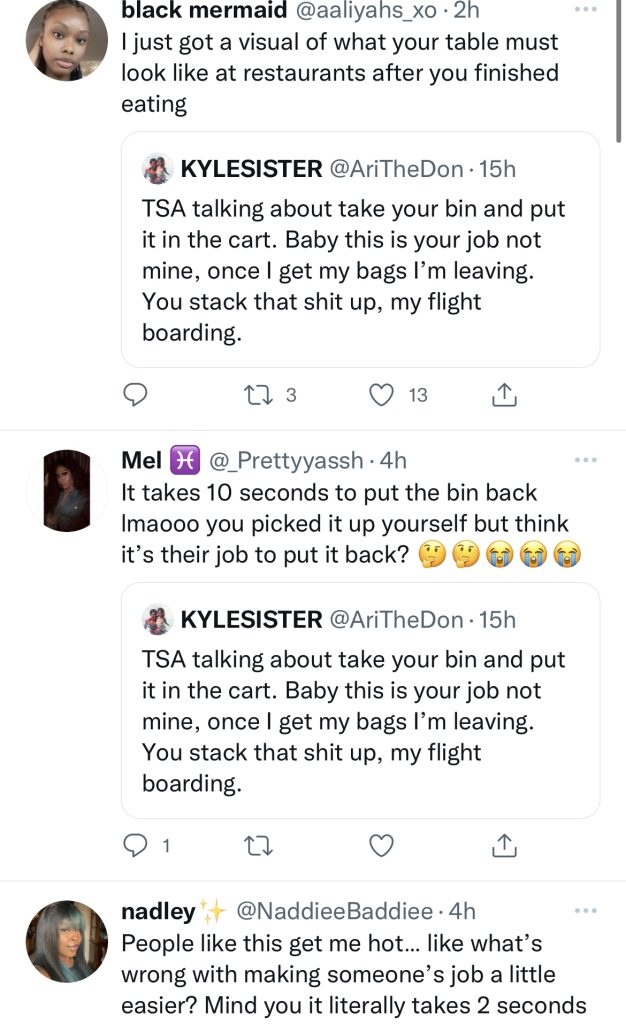 Ari Fletcher is criticized for tweet about TSA needing to carry her items
