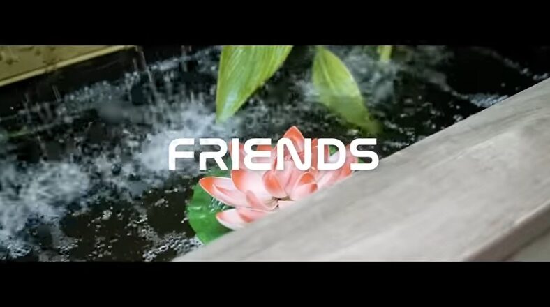 Domani teams up with Nasty C for Friends single and video