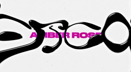 Amber Rose teams up with Mannie Fresh again for new single Gotcha