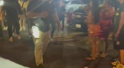Chris Brown fan tries to hug him but security stops her