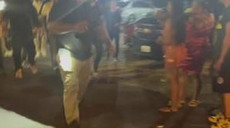 Chris Brown fan tries to hug him but security stops her