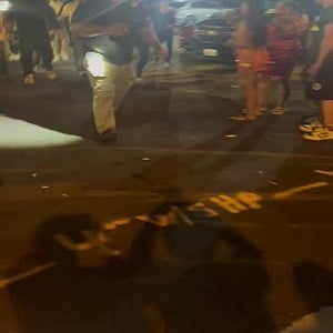 Chris Brown fan tries to hug him but security stops her