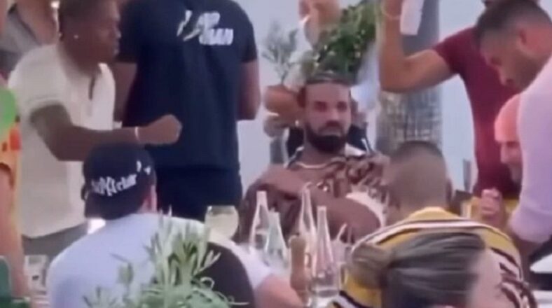 Drake's entourage frantically swats bee to stop it from stinging him
