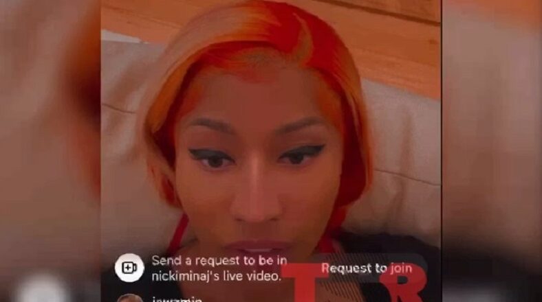 Nicki Minaj says she is not pregnant but she is fat