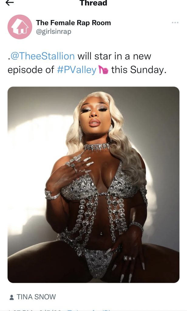 Megan Thee Stallion to appear in next episode of “P-Valley”