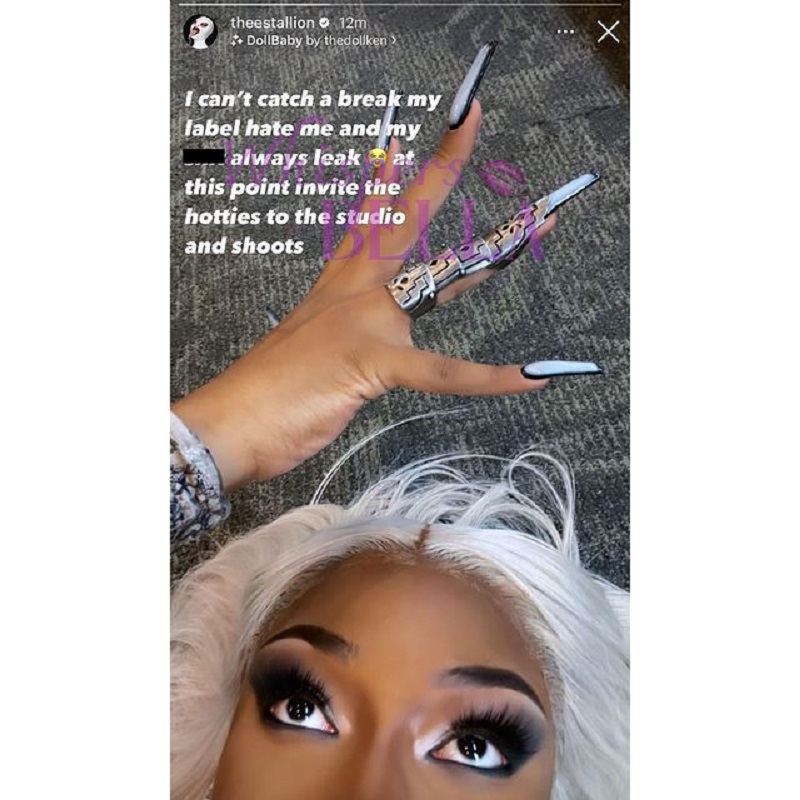 Megan Thee Stallion vents saying her label hates her