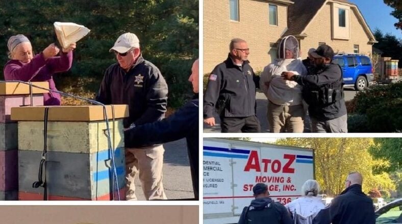Woman releases swarm of bees on cops to stop eviction
