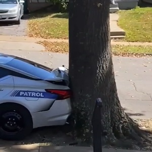 Woman steals police car and crashes into tree after avoiding arrest