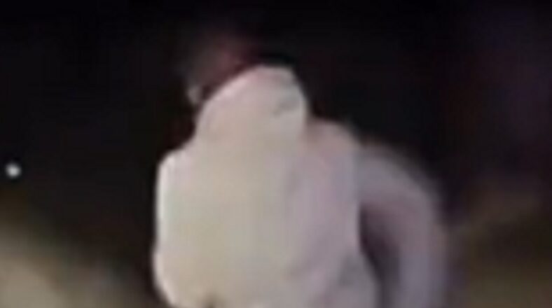 Man tries to outrun the police on foot on the interstate