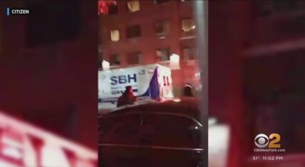 NYC mother reportedly fatally stabbed two infant sons