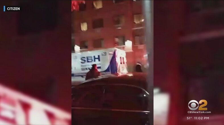 NYC mother reportedly fatally stabbed two infant sons