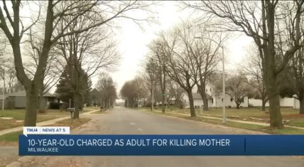 Ten year old boy fatally shoots his mother over VR game