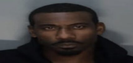 Amar'e Stoudemire arrested after allegedly punching daughter