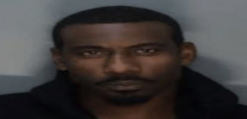 Amar'e Stoudemire arrested after allegedly punching daughter