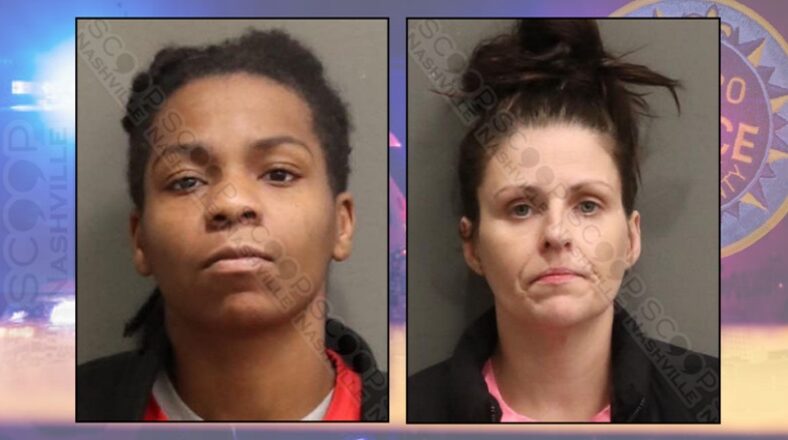 Nashville women arrested for selling guitars to store they stole from