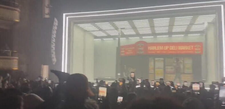 Second Drake NYC show paused after fan falls down from balcony