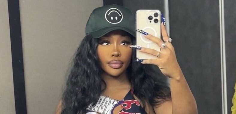 SZA's "Seek & Destroy" goes gold
