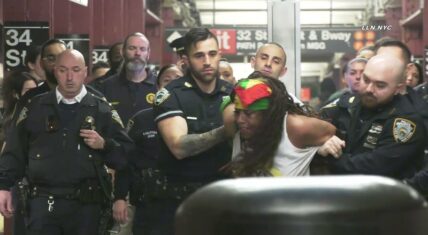 16 officers came to arrest woman for stabbing husband