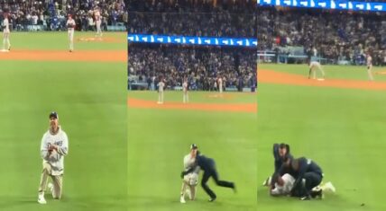 Man's baseball field proposal ruined as security tackles him