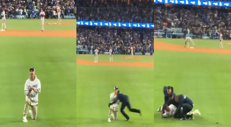 Man's baseball field proposal ruined as security tackles him