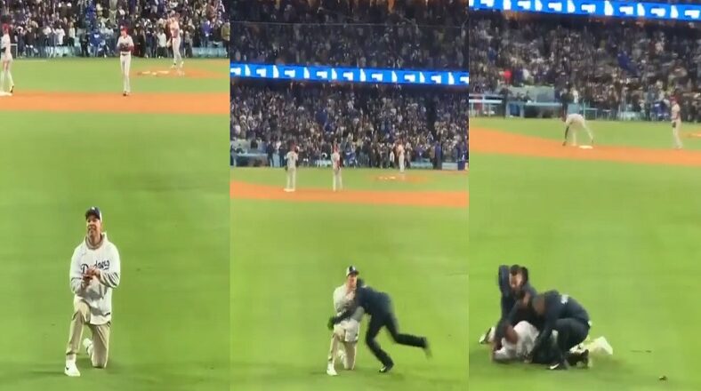 Man's baseball field proposal ruined as security tackles him