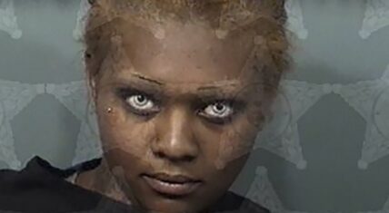 Woman pulls gun at McDonalds drive thru over missing items